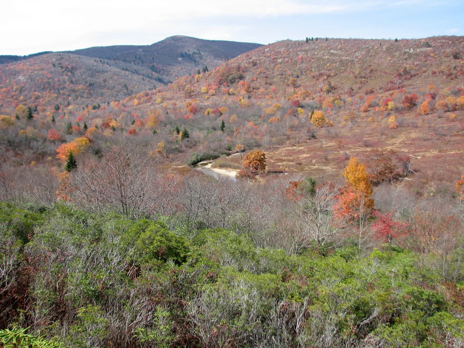 Autumn view of layered ridges from a Blue Ridge Parkway overlook near Graveyard Fields