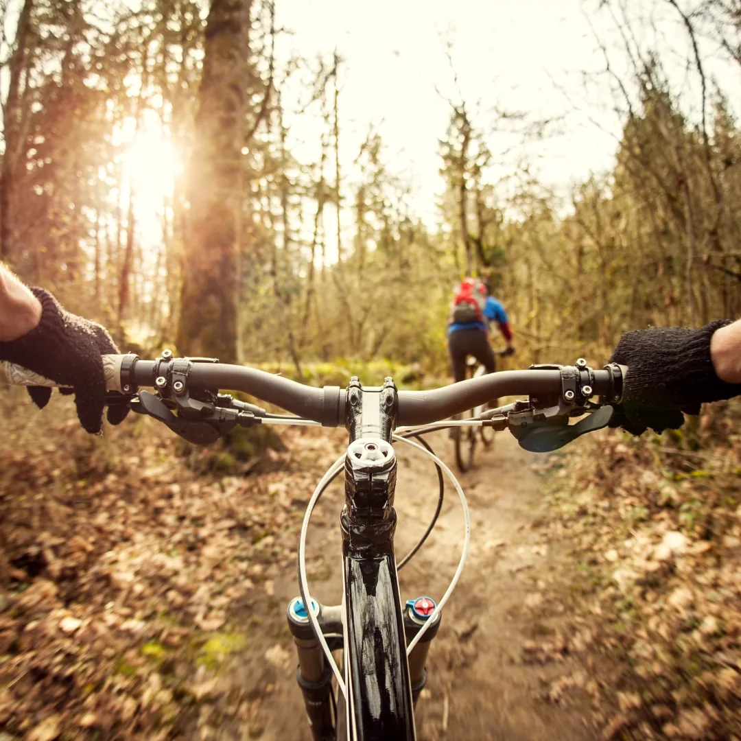 Mountain biker on singletrack in DuPont State Recreational Forest