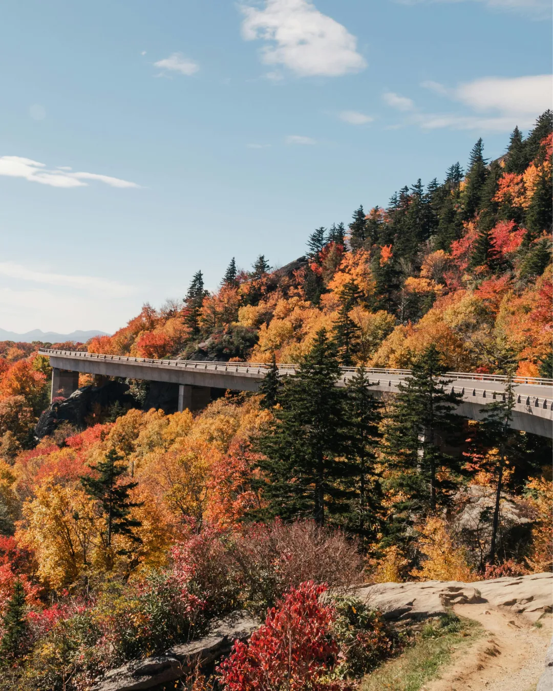 The Blue Ridge Parkway winding through peak fall color in the Blue Ridge Mountains
