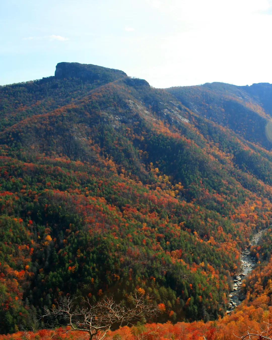 A rocky Blue Ridge peak above a valley of orange and red autumn forest