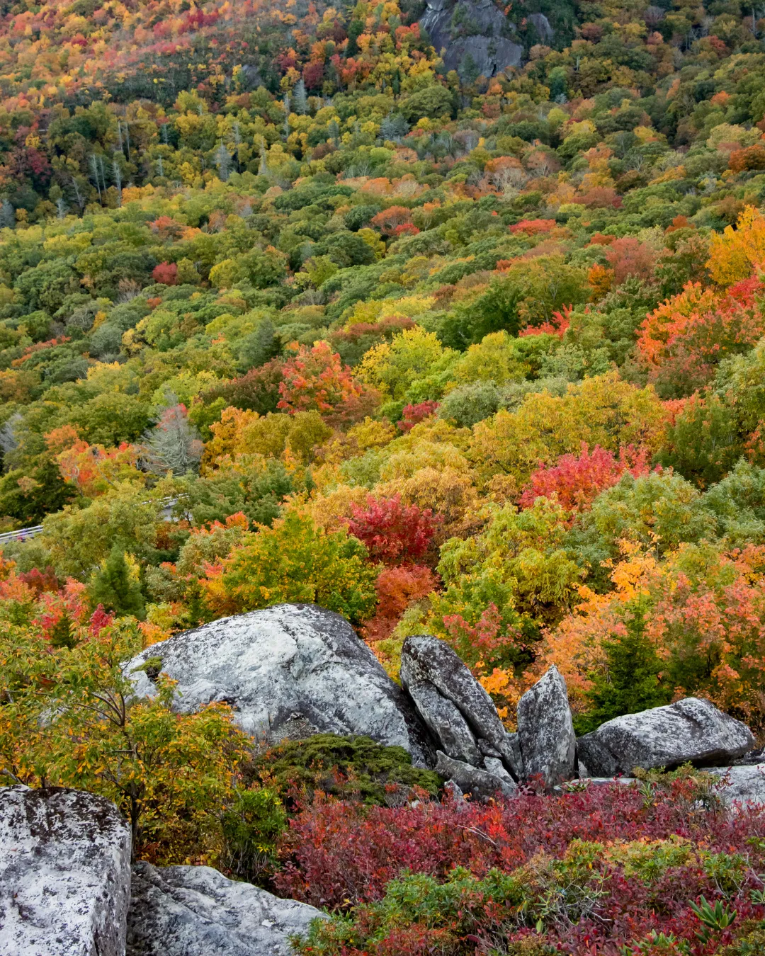 Granite boulders above a hillside of mixed red, orange, and yellow fall color