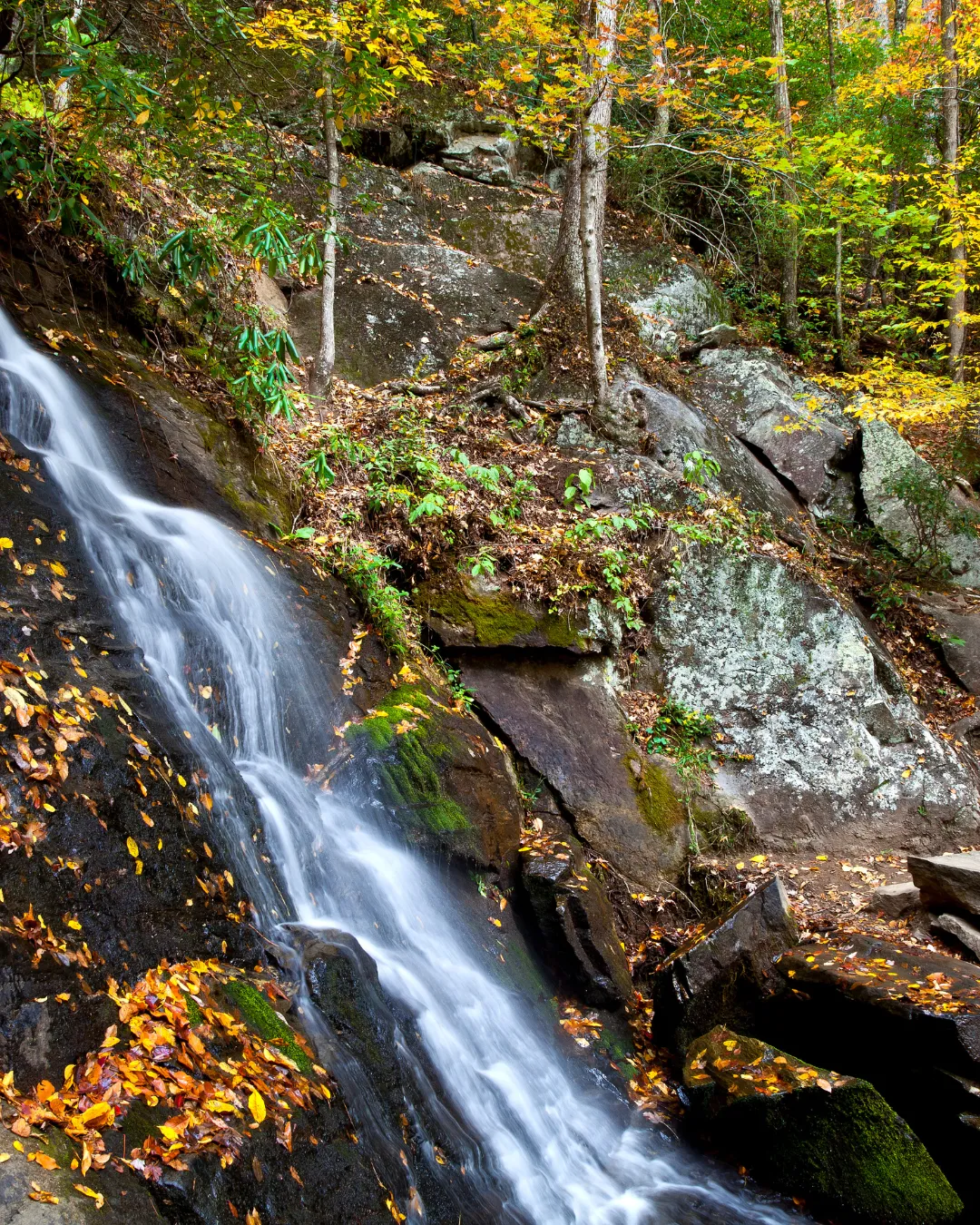 A waterfall cascading over rock surrounded by fallen autumn leaves near Brevard, NC