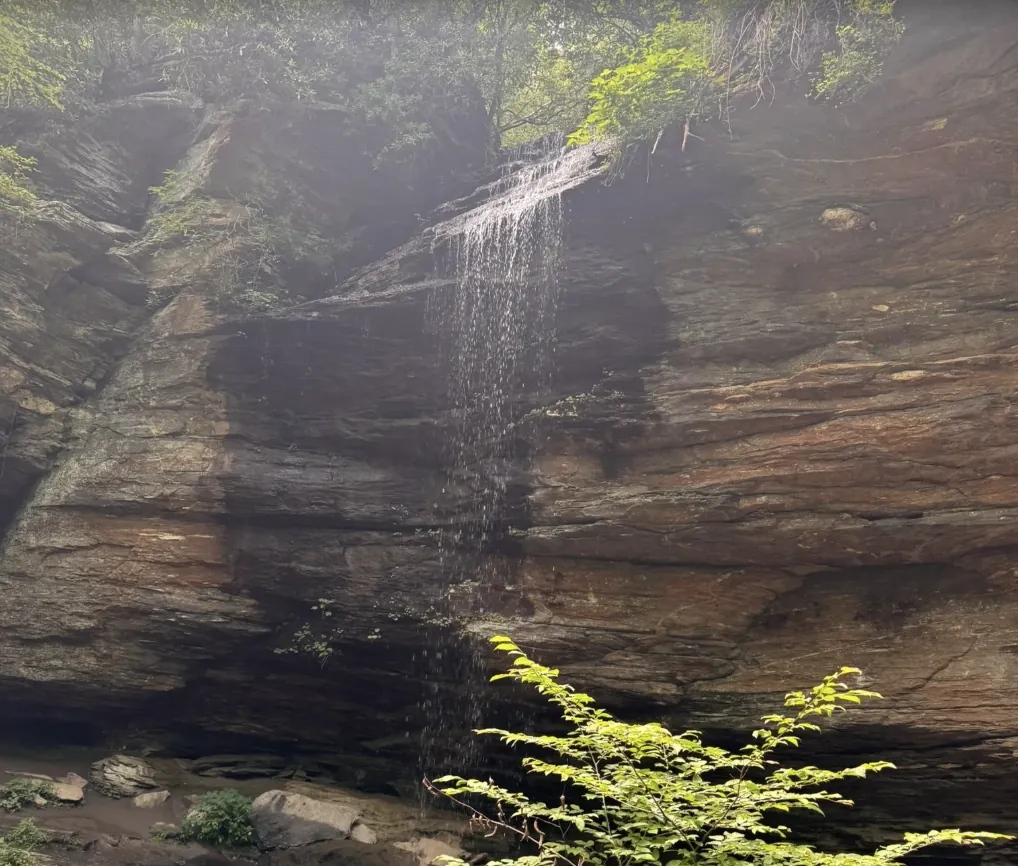 Moore Cove Falls in Pisgah National Forest, where the trail leads behind the curtain of water