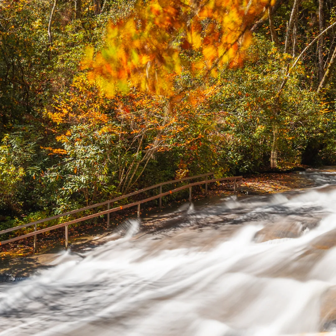 Cascading creek framed by autumn foliage in Pisgah National Forest