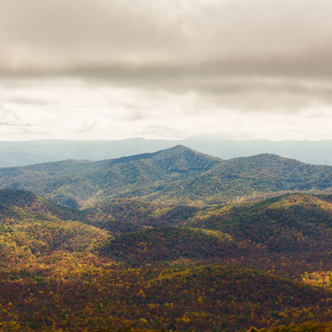 Autumn foliage along the Blue Ridge Parkway through Pisgah National Forest