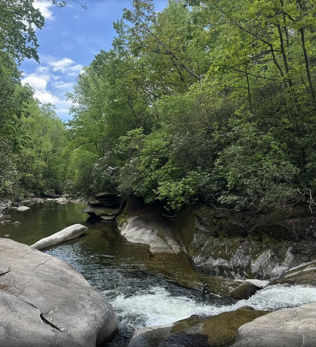 The Whaleback cascade flowing into a 40-foot-long pool ringed by large boulders in the Davidson River area of Pisgah National Forest