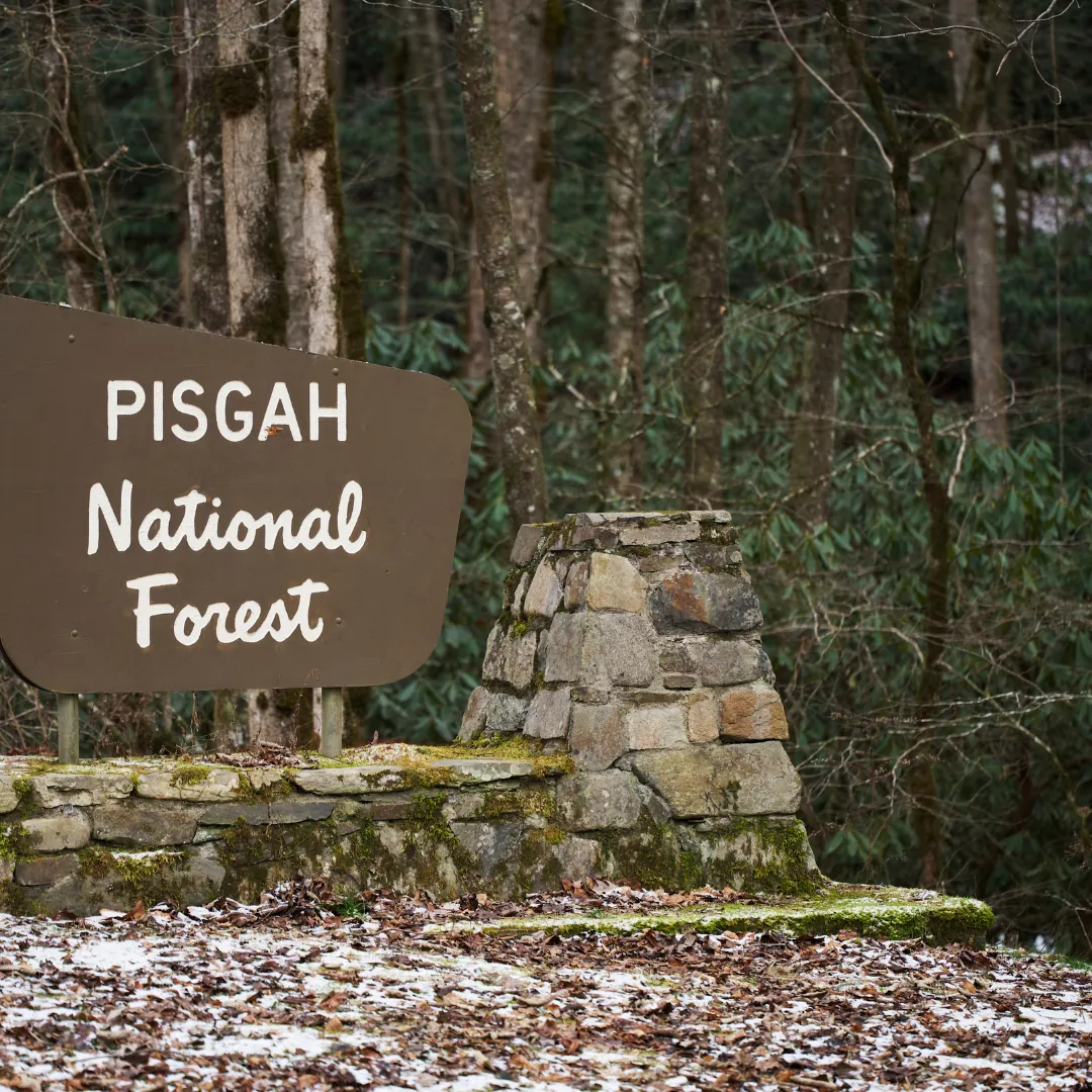 Pisgah National Forest entrance sign near Brevard, NC