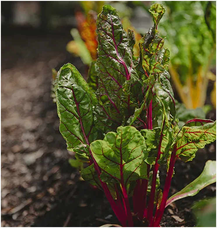 On-site gardens